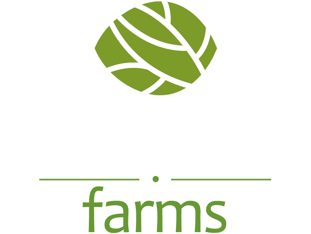 High CBD Farms